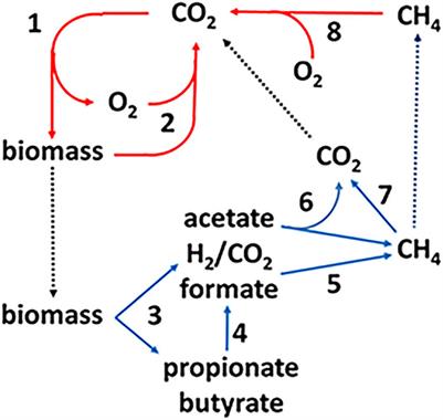 Electron Bifurcation and Confurcation in Methanogenesis and Reverse Methanogenesis